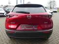 Mazda CX-30 2.5L e-SKYACTIV G 140ps 6AT FWD Exclusive-line Rot - thumbnail 5