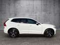 Volvo XC60 R-Design D5 Automatik Weiß - thumbnail 7
