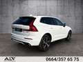 Volvo XC60 R-Design D5 Automatik Weiß - thumbnail 4
