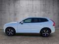 Volvo XC60 R-Design D5 Automatik Weiß - thumbnail 8