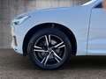 Volvo XC60 R-Design D5 Automatik Weiß - thumbnail 19