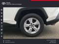 Toyota RAV 4 Hybrid 4x2 Business Edition Blanc - thumbnail 14