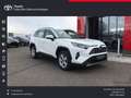 Toyota RAV 4 Hybrid 4x2 Business Edition Weiß - thumbnail 1