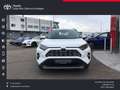 Toyota RAV 4 Hybrid 4x2 Business Edition Blanco - thumbnail 2