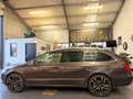 Skoda Superb Combi 2.0 TSI Ambition Business Line ineuil mogeli Brun - thumbnail 5