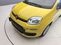 Fiat Panda 1.0 70 HYBRID Sarı - thumbnail 31