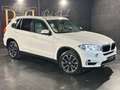 BMW X5 Euro6 xdrive25d Business 231cv auto Bianco - thumbnail 3