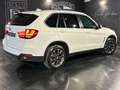 BMW X5 Euro6 xdrive25d Business 231cv auto Bianco - thumbnail 7