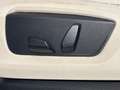 BMW X5 Euro6 xdrive25d Business 231cv auto Bianco - thumbnail 15