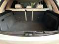 BMW X5 Euro6 xdrive25d Business 231cv auto Bianco - thumbnail 33
