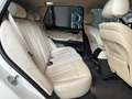 BMW X5 Euro6 xdrive25d Business 231cv auto Bianco - thumbnail 26