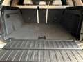 BMW X5 Euro6 xdrive25d Business 231cv auto Bianco - thumbnail 34