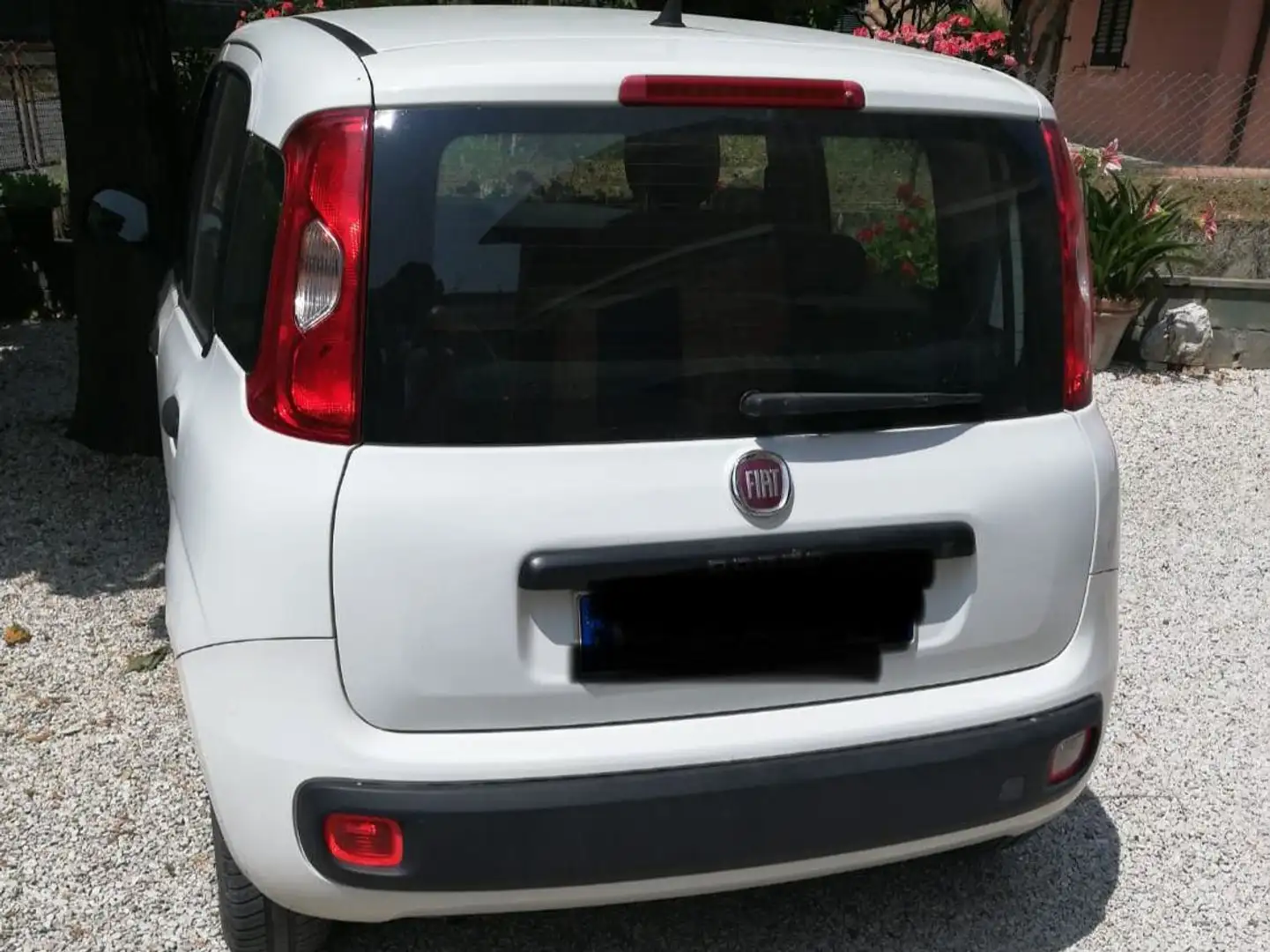 Fiat Panda Panda 1.2 Young 69cv Blanc - 1