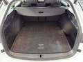 Skoda Octavia Selection TDI DSG Weiß - thumbnail 6
