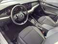 Skoda Octavia Selection TDI DSG Weiß - thumbnail 9