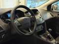 Ford Focus 1.5 TDCi 95 CV S&S Plus Weiß - thumbnail 8