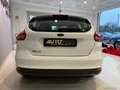 Ford Focus 1.5 TDCi 95 CV S&S Plus Weiß - thumbnail 4