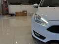 Ford Focus 1.5 TDCi 95 CV S&S Plus Weiß - thumbnail 16