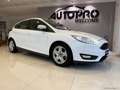 Ford Focus 1.5 TDCi 95 CV S&S Plus Weiß - thumbnail 2
