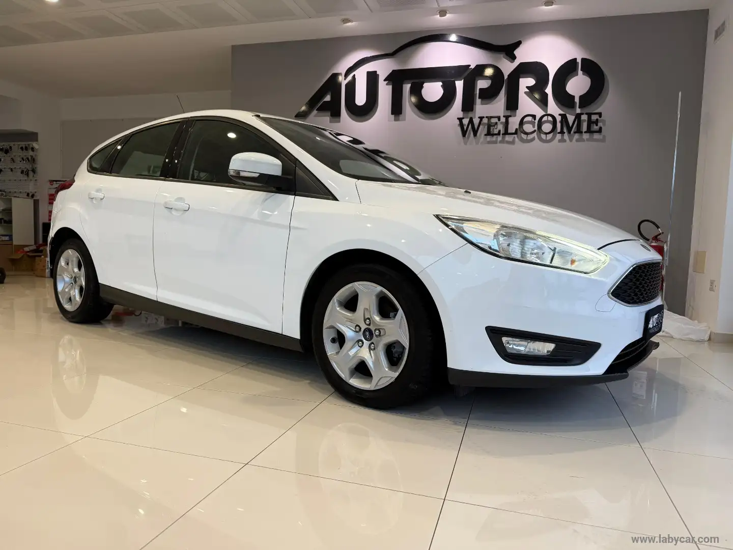Ford Focus 1.5 TDCi 95 CV S&S Plus Weiß - 2