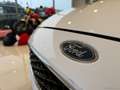 Ford Focus 1.5 TDCi 95 CV S&S Plus Weiß - thumbnail 15