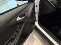 Ford Focus 1.5 TDCi 95 CV S&S Plus Weiß - thumbnail 14