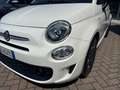 Fiat 500 III 2015 - 500 1.0 hybrid Connect 70cv Bianco - thumbnail 6