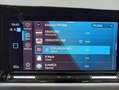 Volkswagen Golf VIII 1.5 eTSI Life OPF DSG Verde - thumbnail 18