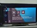 Volkswagen Golf VIII 1.5 eTSI Life OPF DSG Verde - thumbnail 13