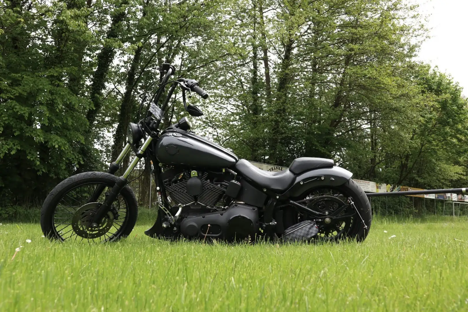 Harley-Davidson Night Train Grau - 2