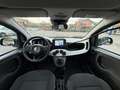 Fiat Panda Pandina III Cross 1.0 firefly hybrid S&S Blu/Azzurro - thumbnail 13