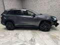 Toyota RAV 4 RAV4 Hybrid 4x4 Adventure Grau - thumbnail 8