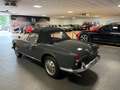 Alfa Romeo Giulietta Spider 1300 Serie 10104 Note 2+ *1960* Gris - thumbnail 8