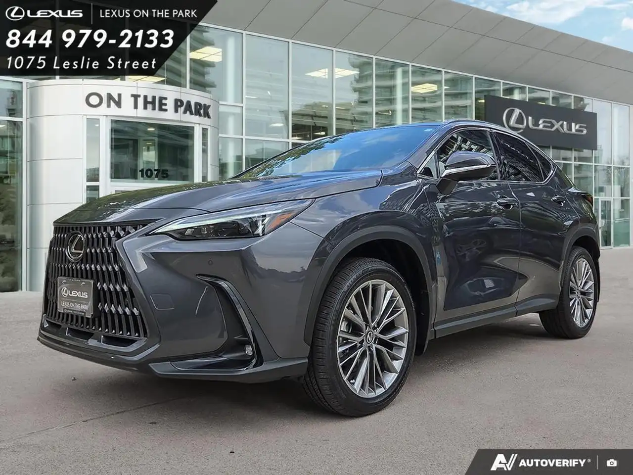 Lexus NX fotografie Lexus NX