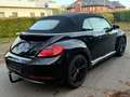 Volkswagen Beetle Cabriolet Allstar BMT/Start-Stopp/Euro6 Negro - thumbnail 4
