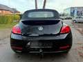 Volkswagen Beetle Cabriolet Allstar BMT/Start-Stopp/Euro6 Negro - thumbnail 5