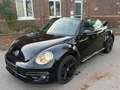 Volkswagen Beetle Cabriolet Allstar BMT/Start-Stopp/Euro6 Negro - thumbnail 7