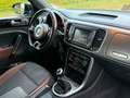 Volkswagen Beetle Cabriolet Allstar BMT/Start-Stopp/Euro6 Negro - thumbnail 16