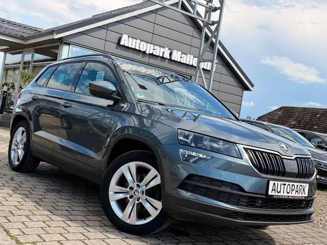 Skoda Karoq main image
