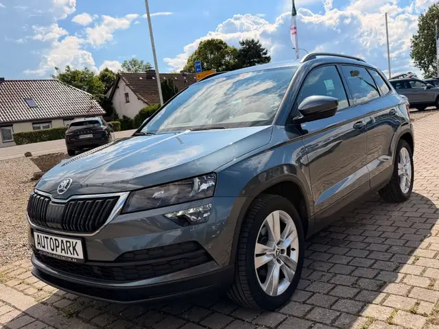 Skoda Karoq view 3