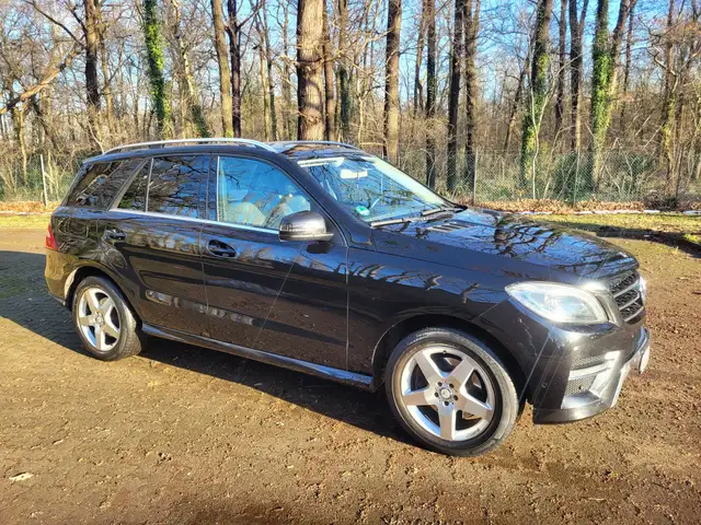 Mercedes-Benz ML 250 ML 250 CDI BlueTec (166.004)