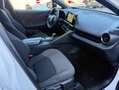 Toyota C-HR 2.0 phev Trend fwd e-cvt plug-in FULL OPTIONAL Bianco - thumbnail 8
