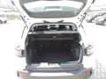 Jeep Avenger 1.2 Turbo MHEV Altitude Bianco - thumbnail 8