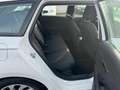 SEAT Leon ST HU+SERVICE NEU/KLIMA/KAMERA/TEMPOMAT/SH Weiß - thumbnail 10