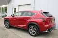 Lexus NX 300h AWD Business Line + Afn. Trekhaak Rouge - thumbnail 2
