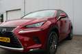 Lexus NX 300h AWD Business Line + Afn. Trekhaak Rouge - thumbnail 9