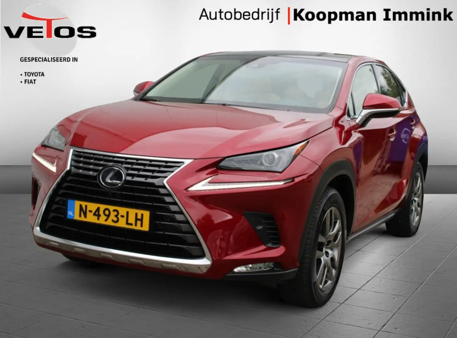Lexus NX 300h AWD Business Line + Afn. Trekhaak Rouge - 1