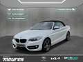BMW 218 Cabrio i Sport Line ATG Navi Bi-Xenon 2-Zonen-Klim Blanco - thumbnail 3