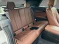 BMW 218 Cabrio i Sport Line ATG Navi Bi-Xenon 2-Zonen-Klim Blanc - thumbnail 13