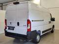 Peugeot Boxer 22 Blue Hdi 140 pk TL 335 L2H2 Wit - thumbnail 5